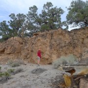 MonoBasin 153 : MonoBasin